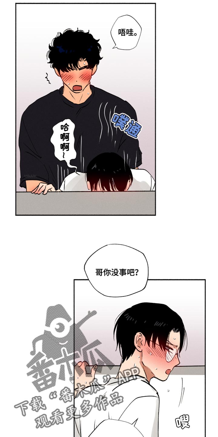 21.jpg