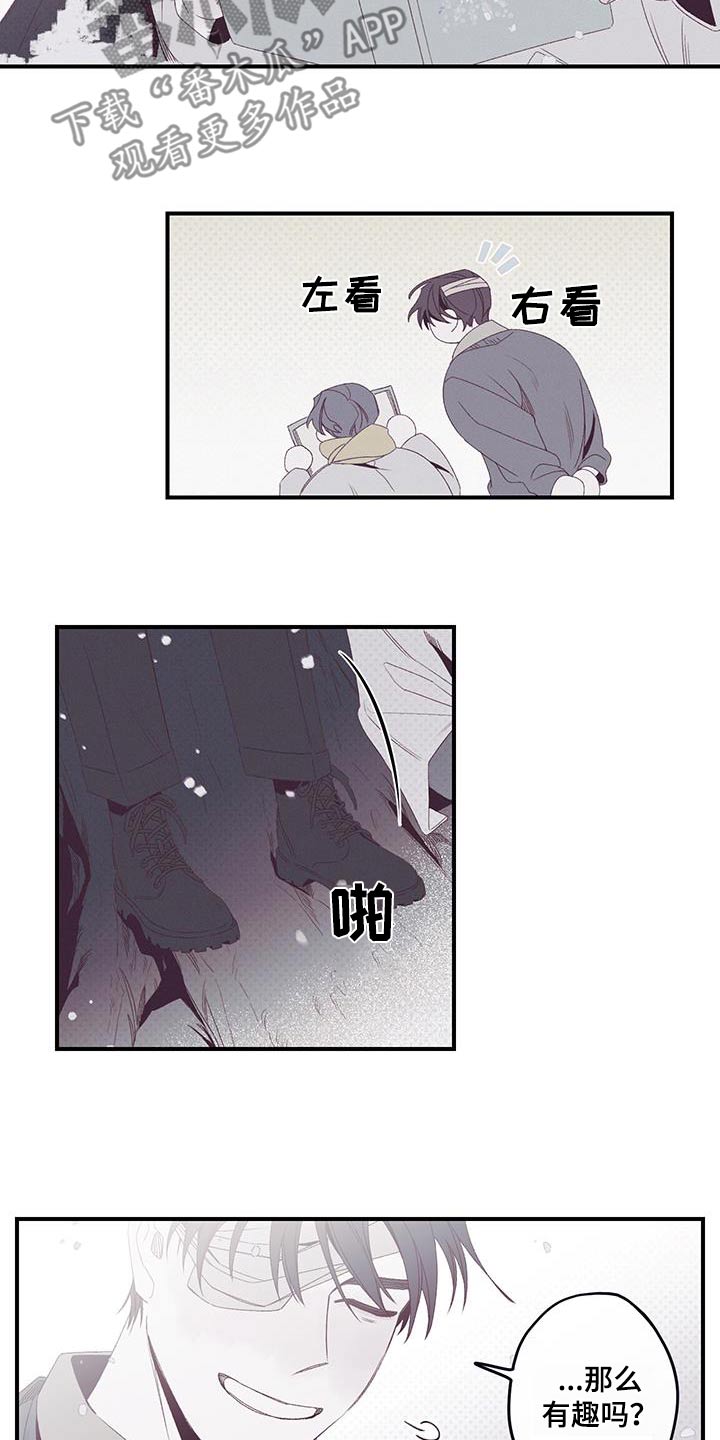 17.jpg