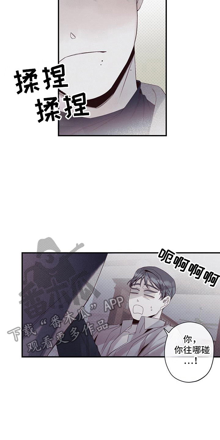 18.jpg