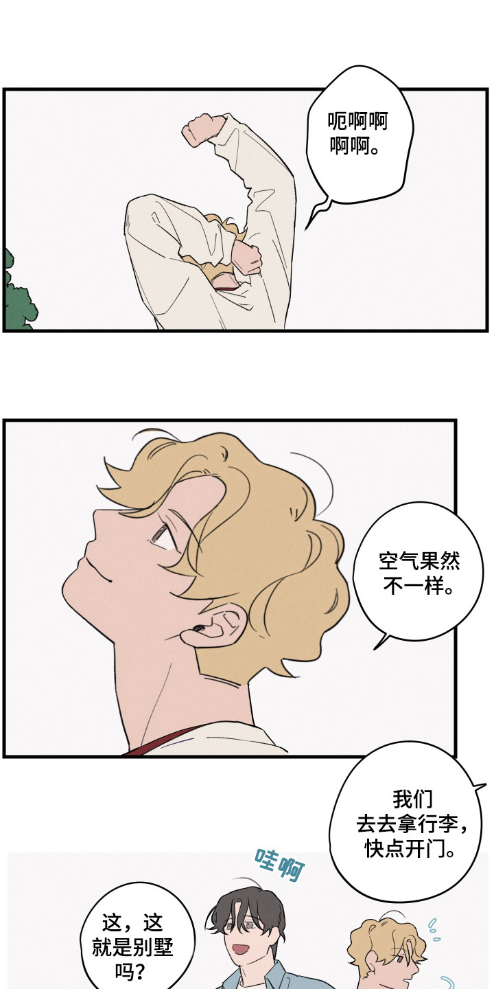 13.jpg