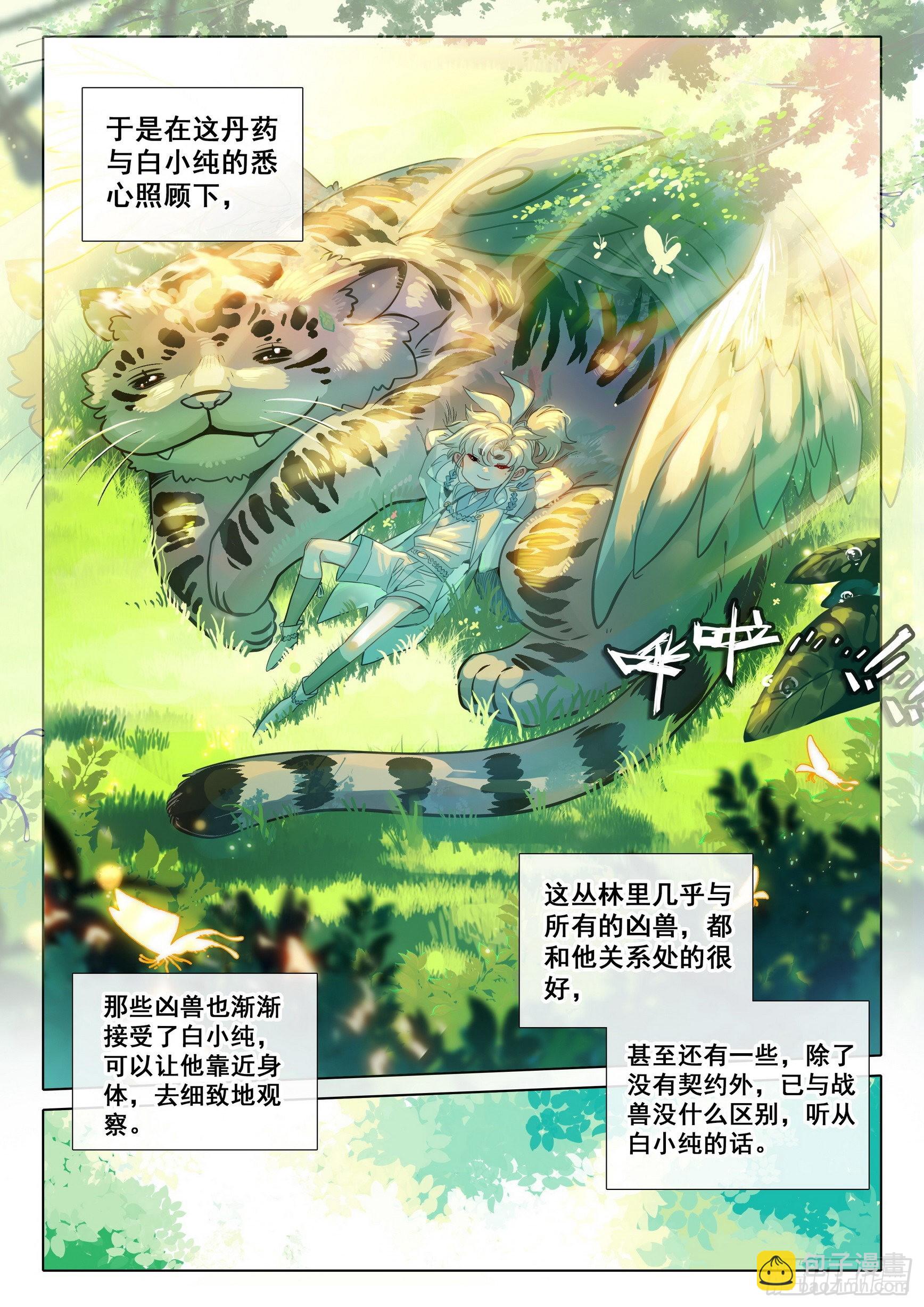 9.jpg