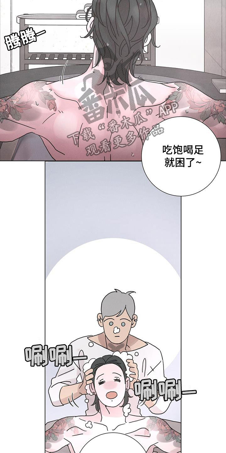 11.jpg