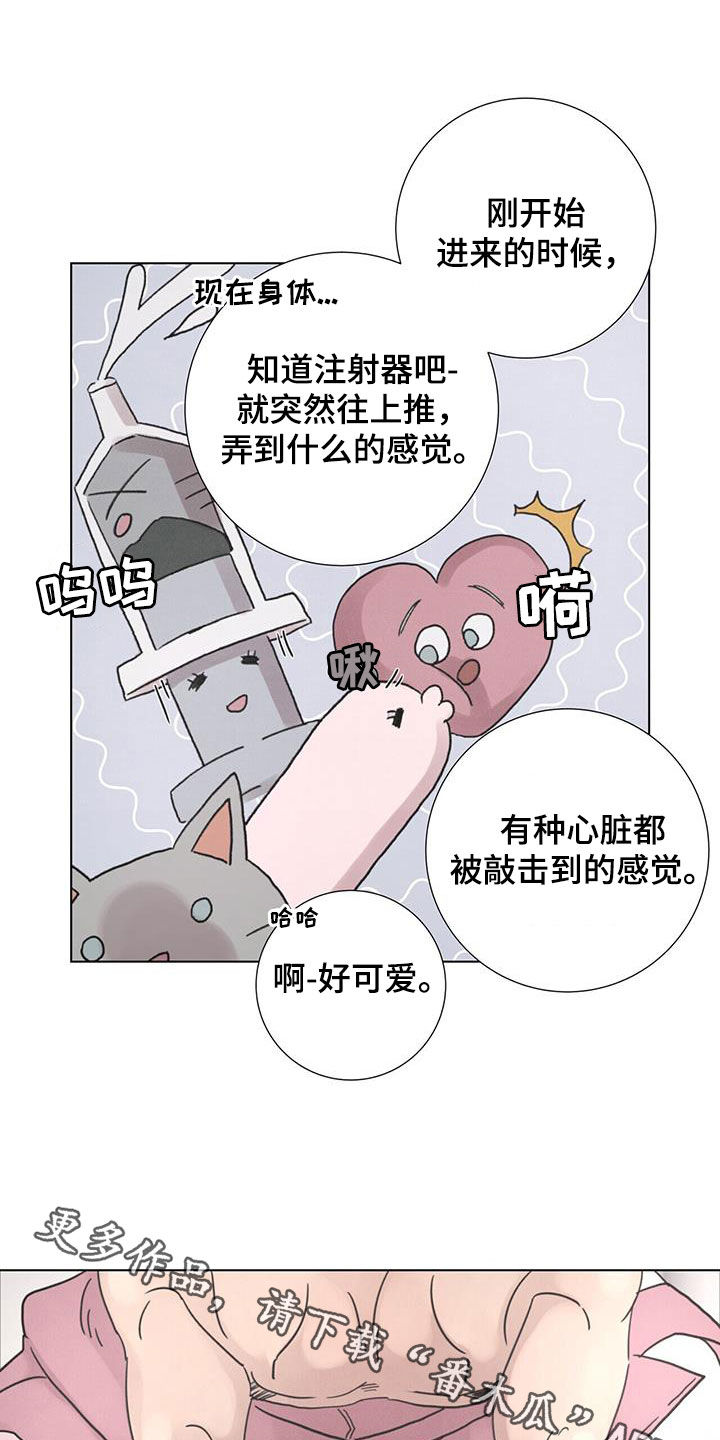 21.jpg