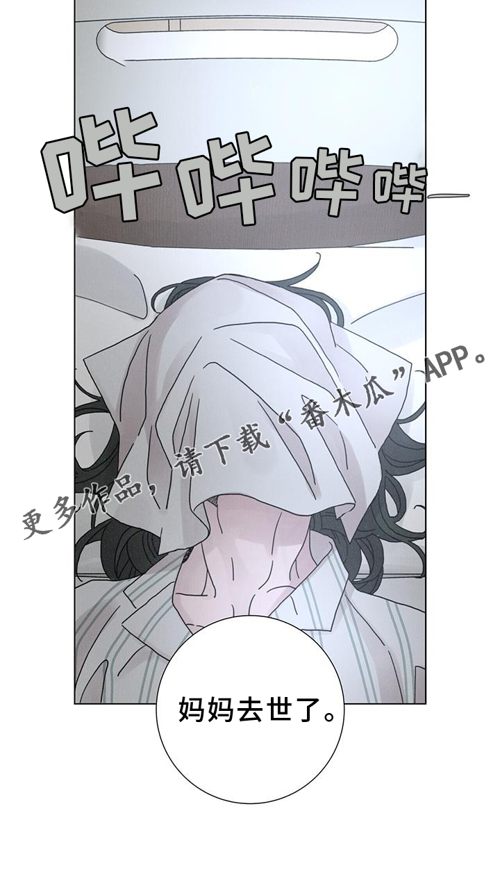 23.jpg
