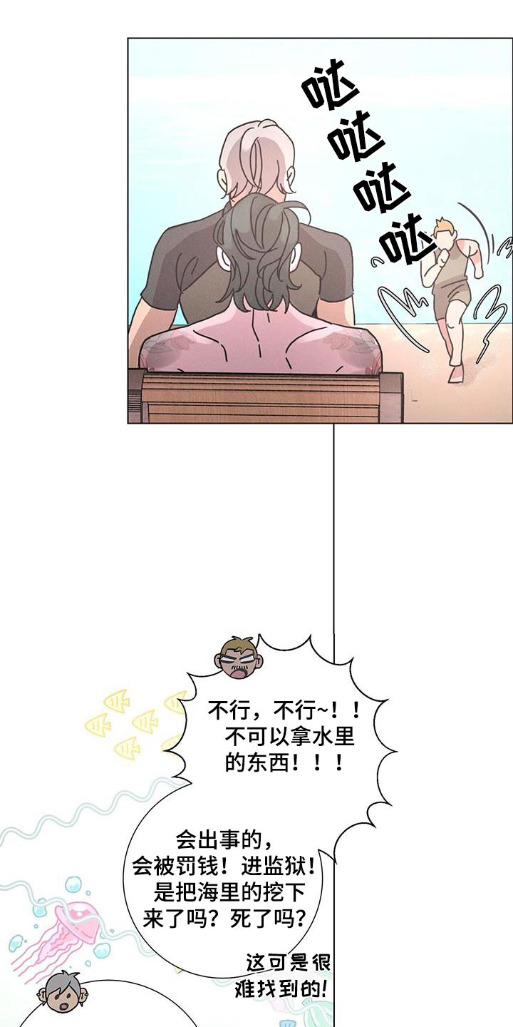 15.jpg