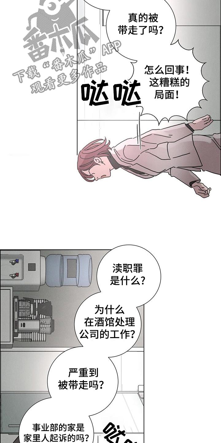 19.jpg