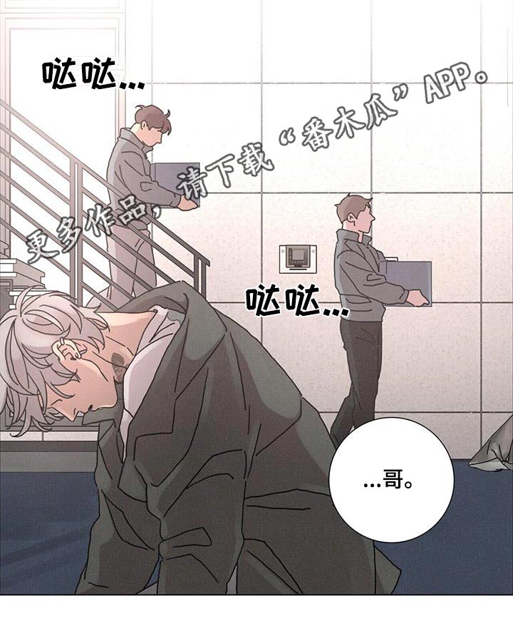 24.jpg