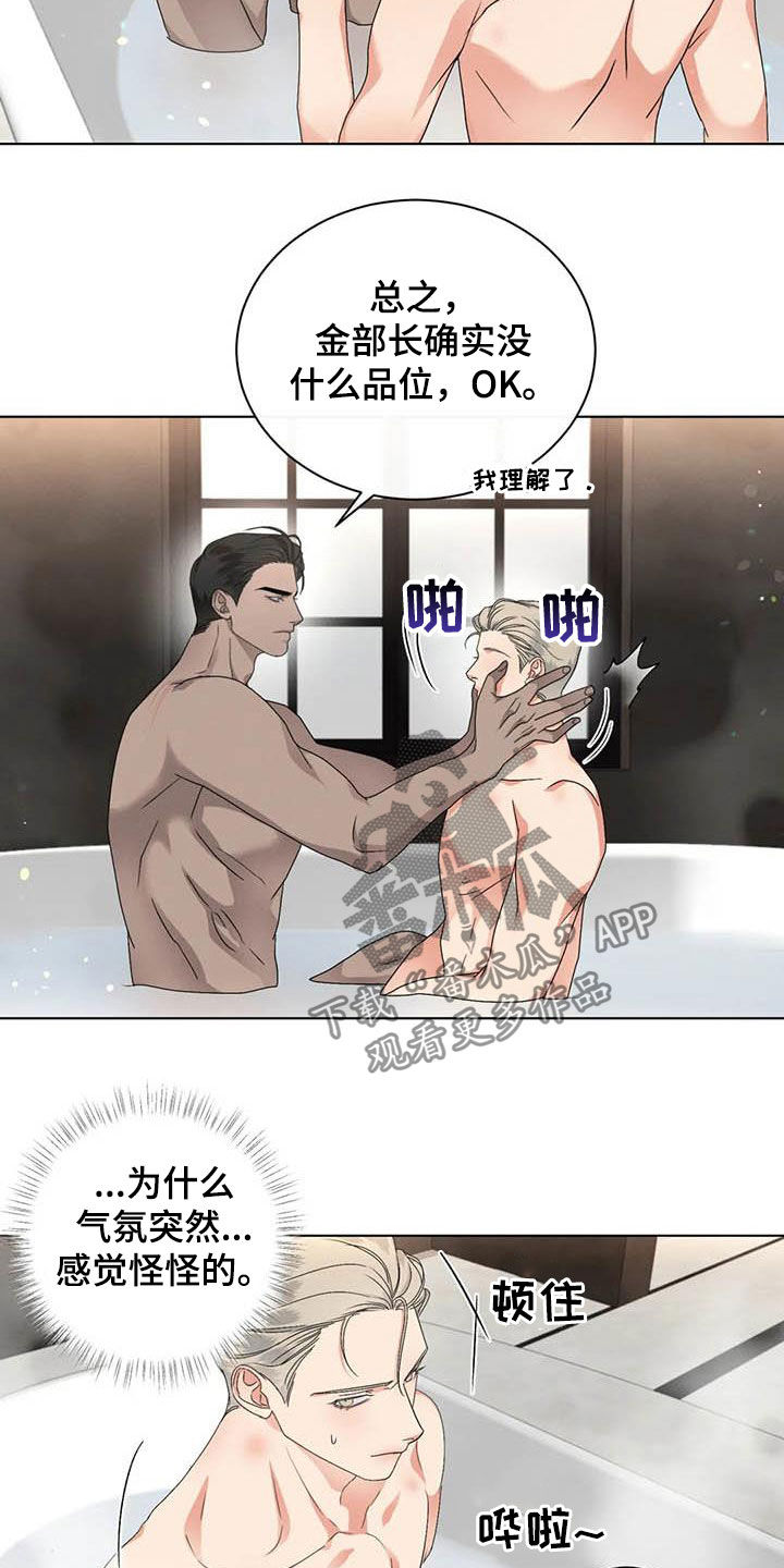 11.jpg