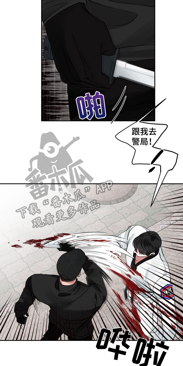 17.jpg