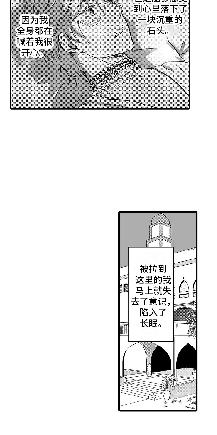 16.jpg