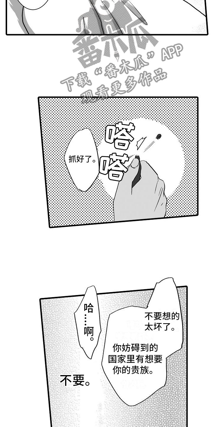 10.jpg