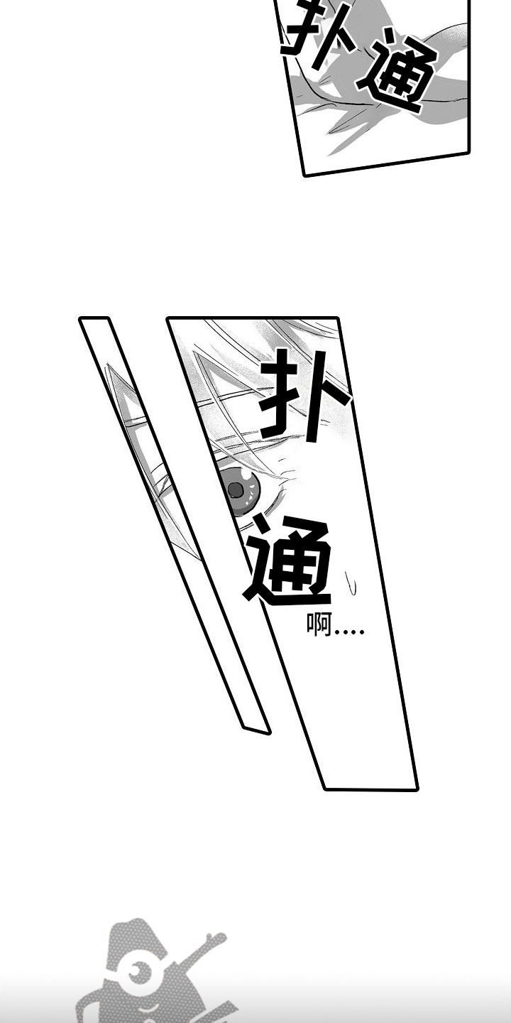 13.jpg