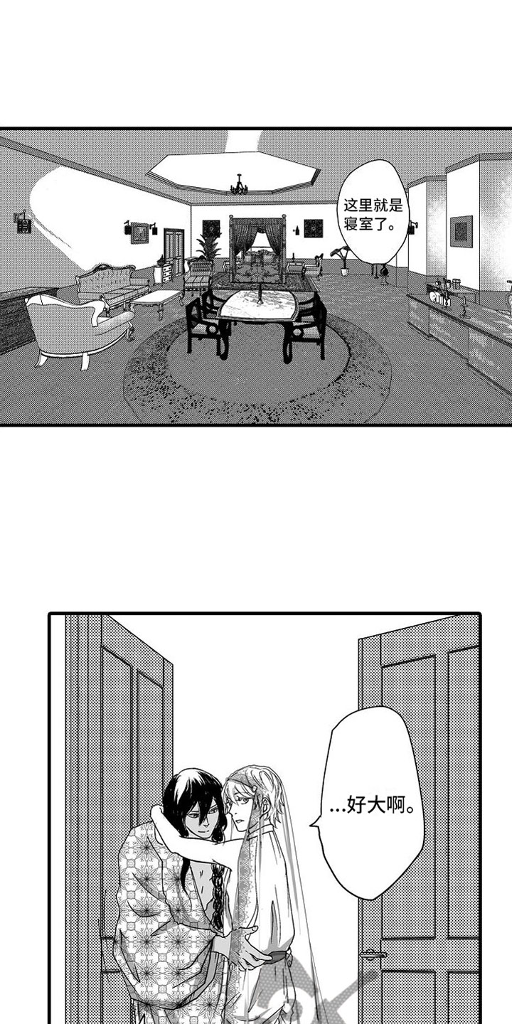 11.jpg