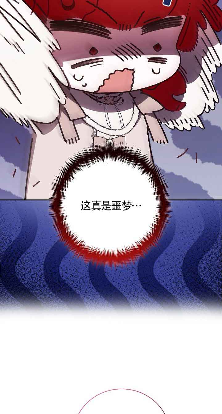 47.jpg