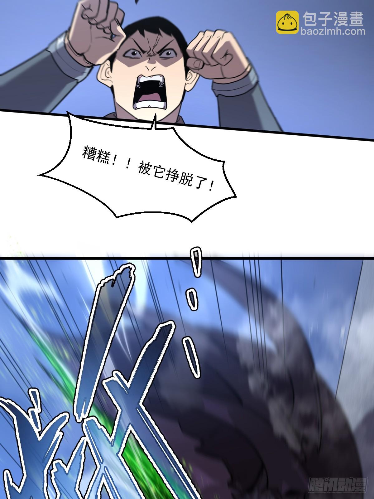 47.jpg