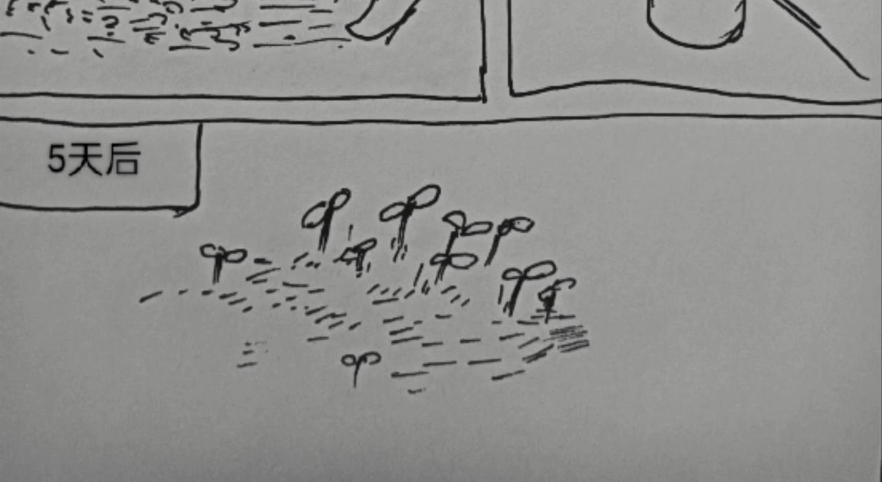 44.jpg