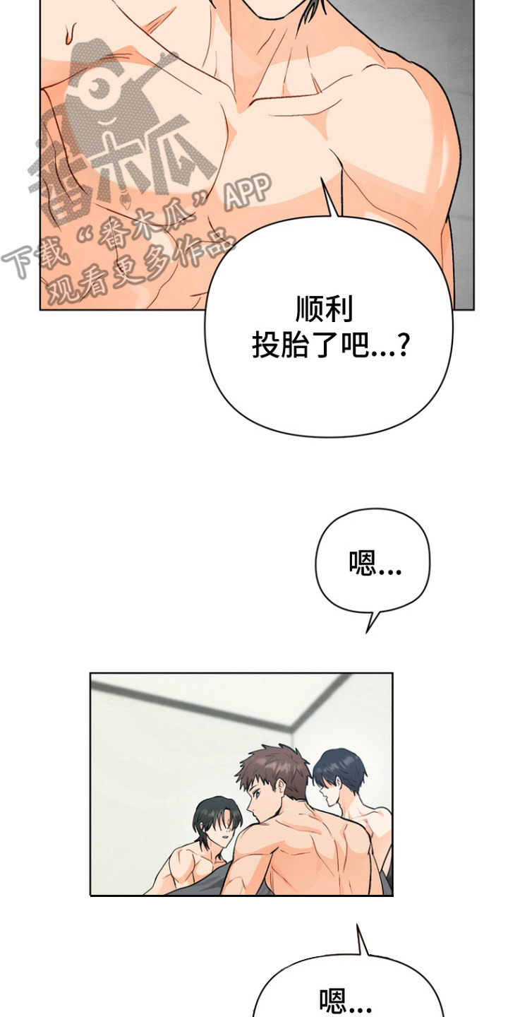 14.jpg