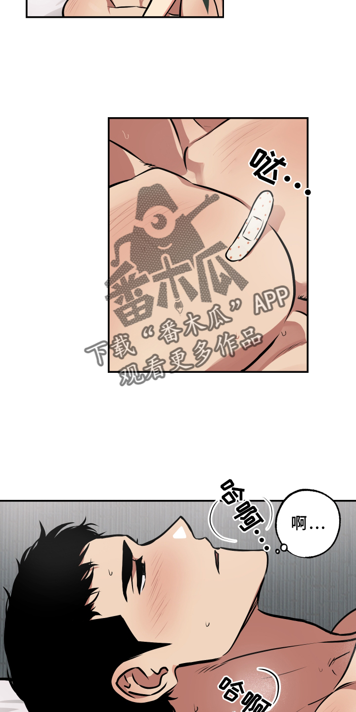12.jpg