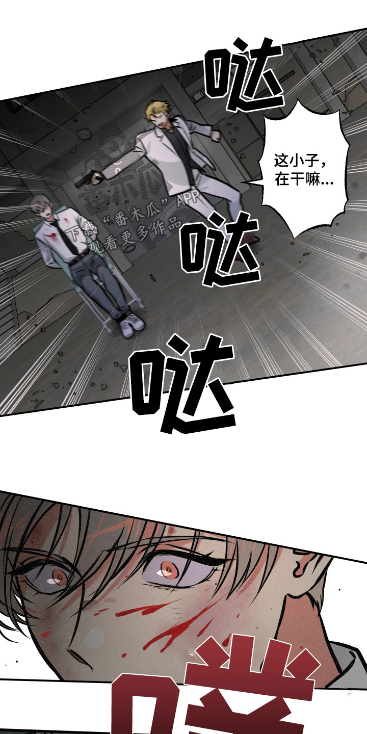 20.jpg