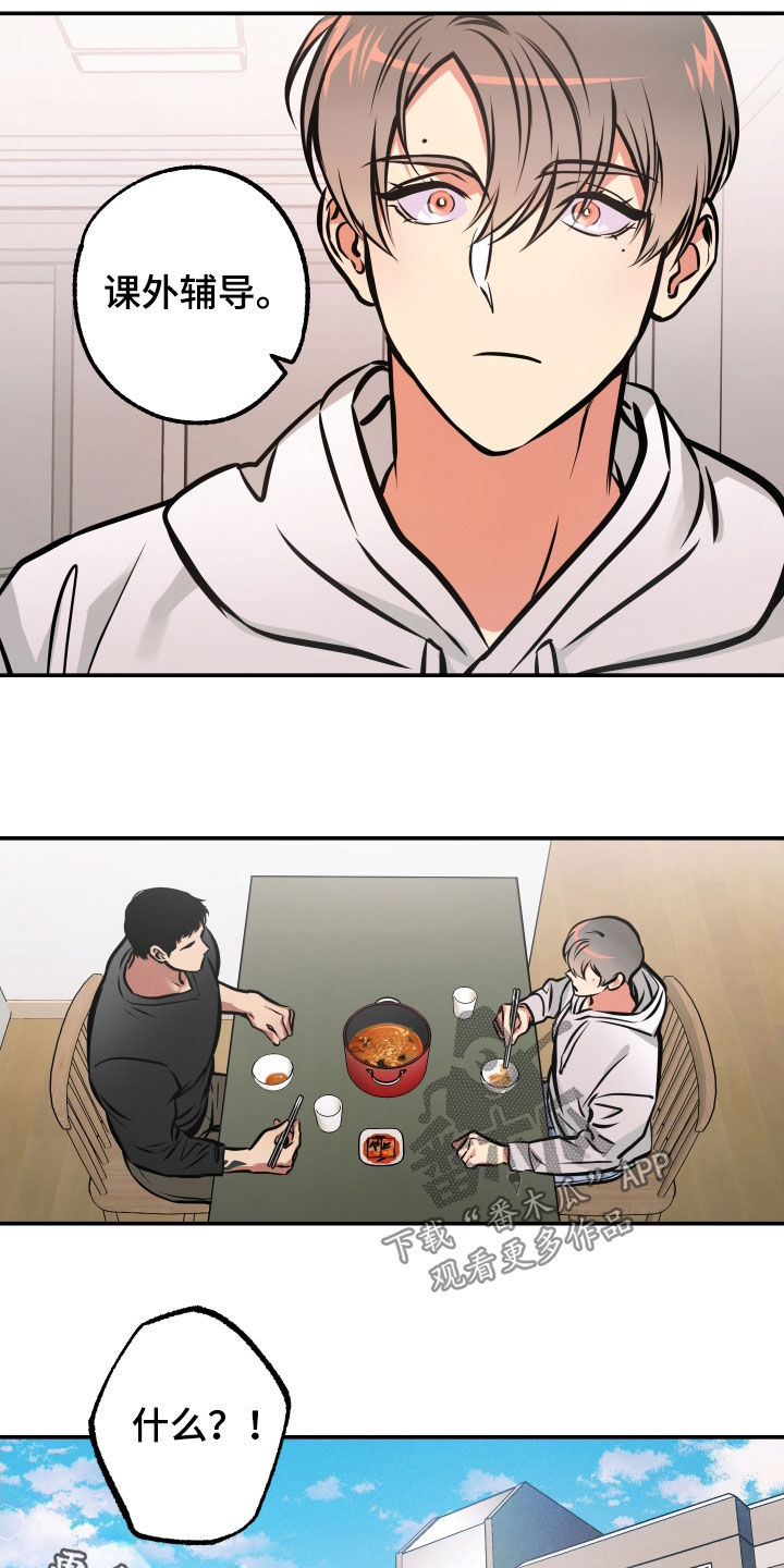 15.jpg