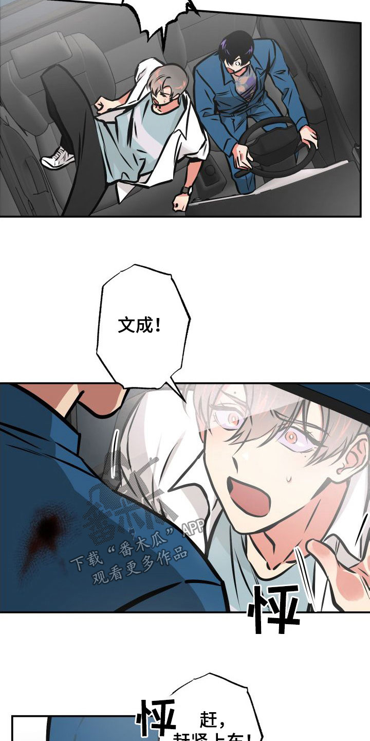 11.jpg
