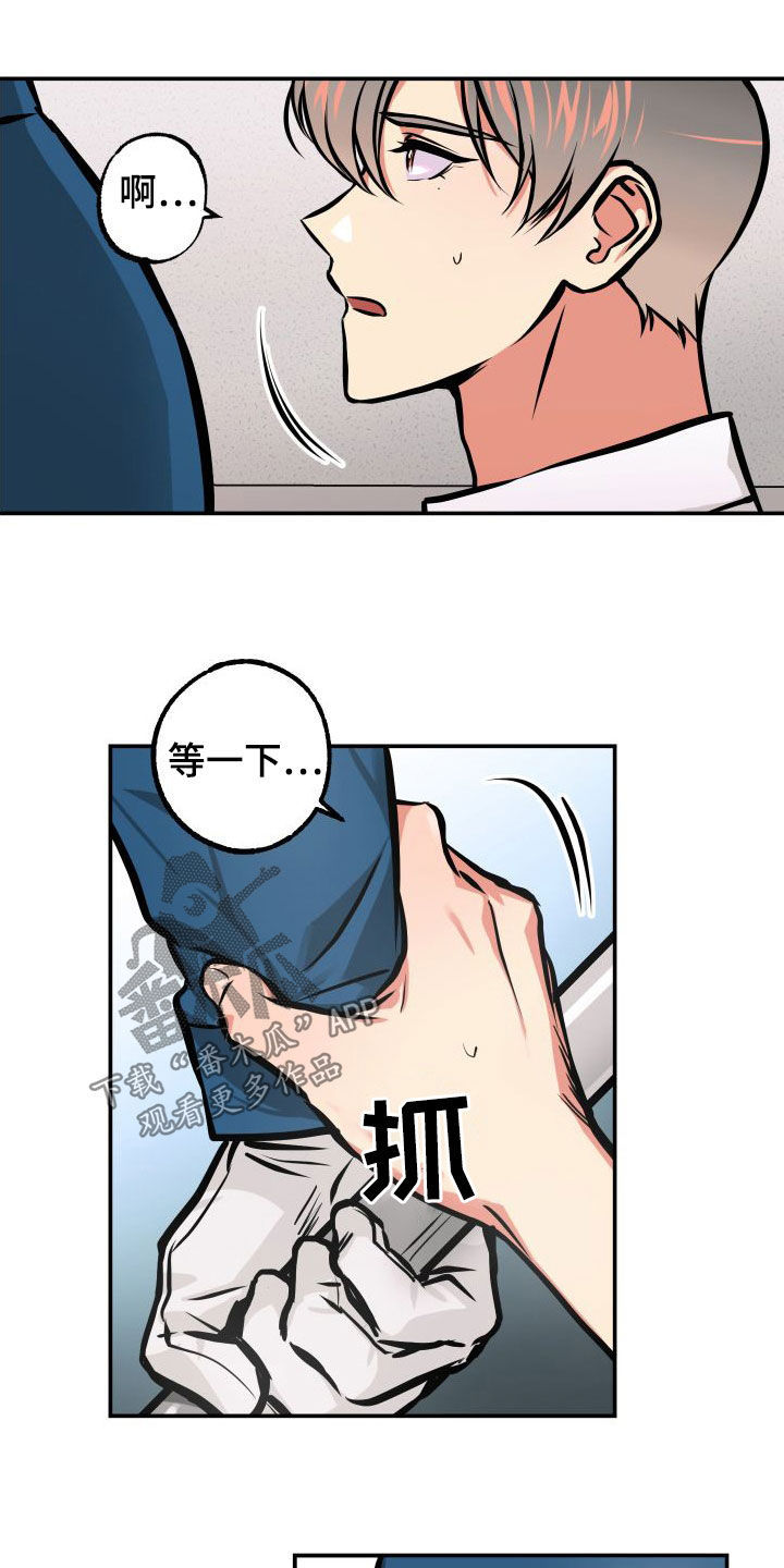 11.jpg