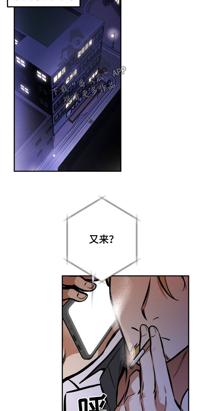 13.jpg