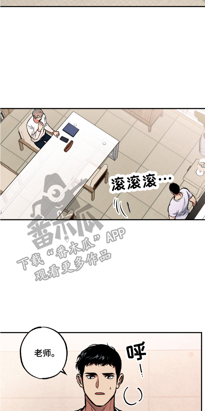 13.jpg