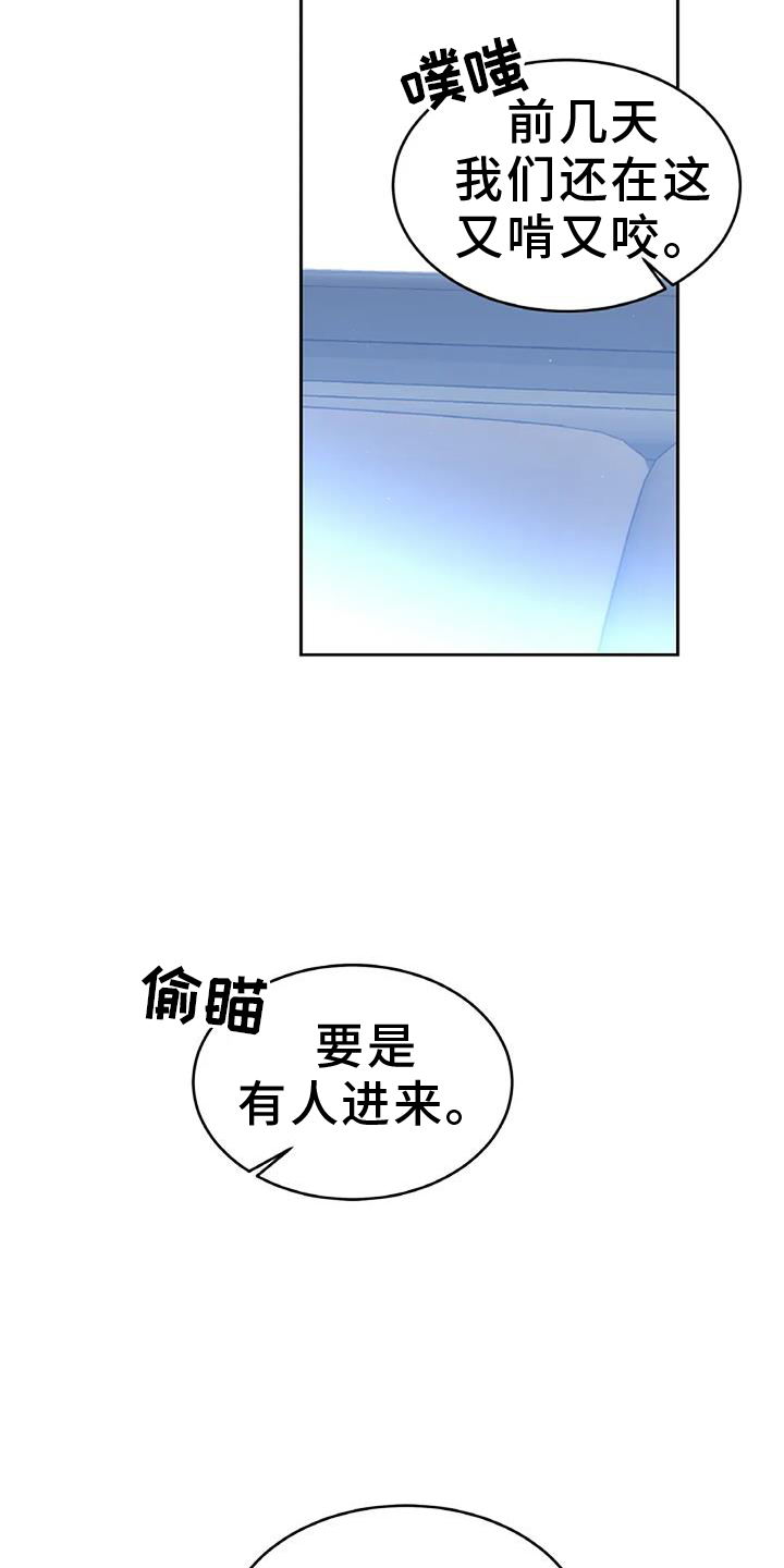 17.jpg