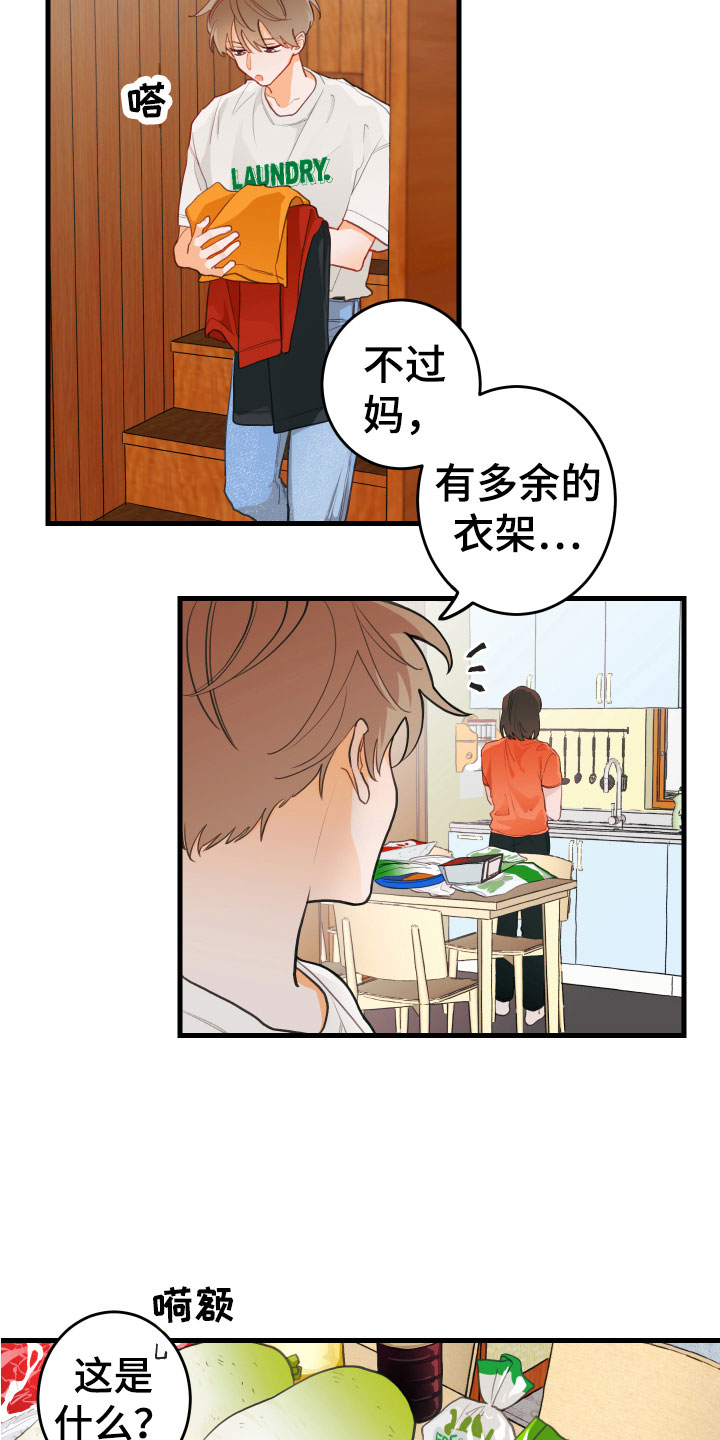 15.jpg