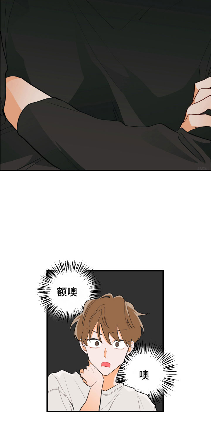 15.jpg