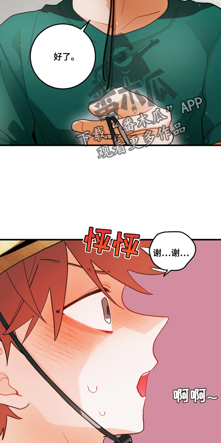 15.jpg