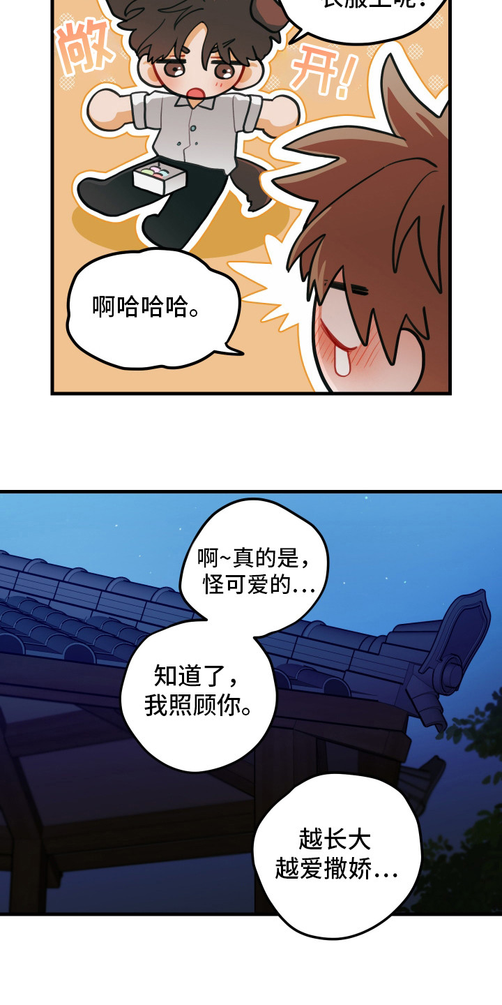 19.jpg