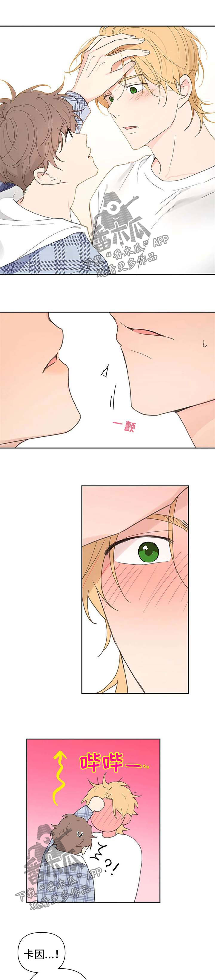 6.jpg