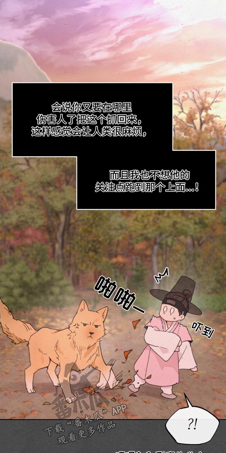 23.jpg