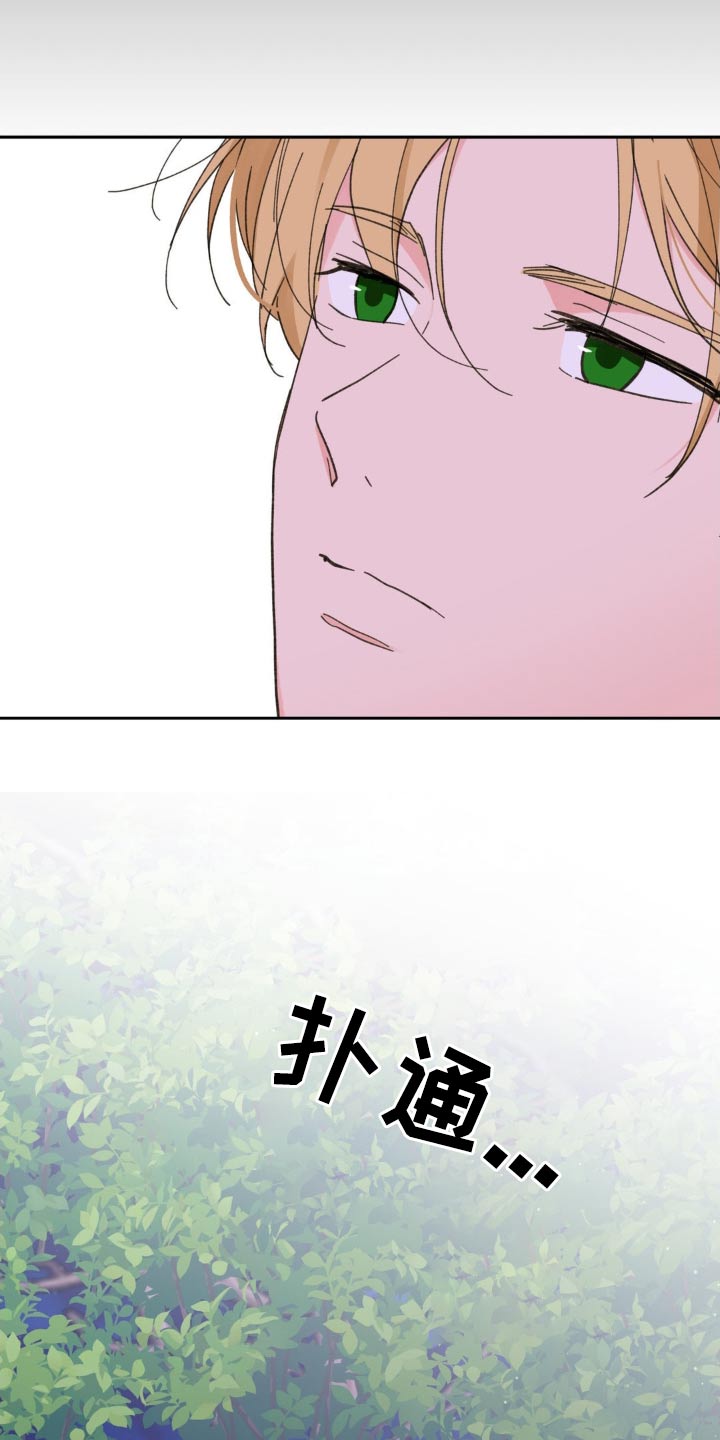 23.jpg