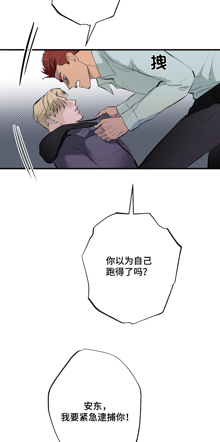 18.jpg