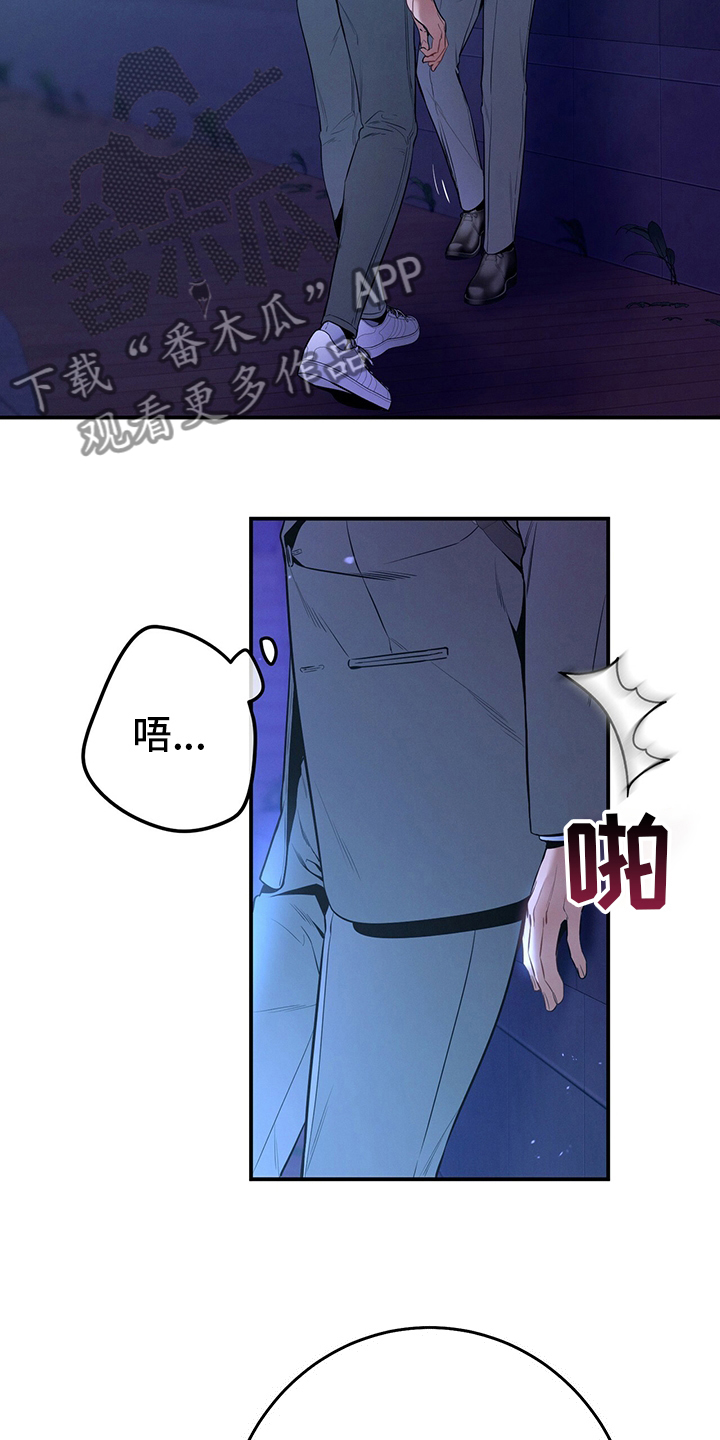 35.jpg