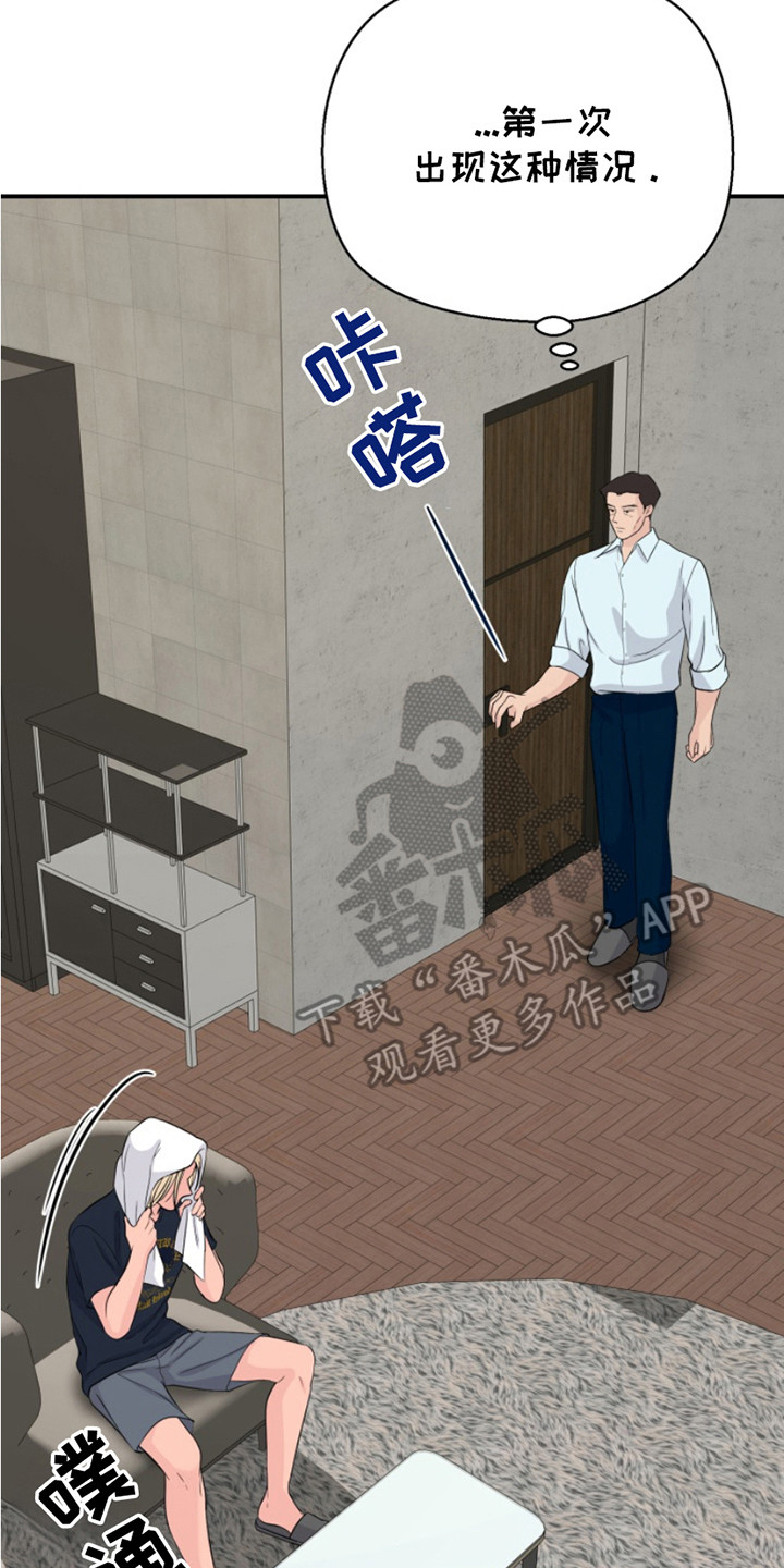 14.jpg