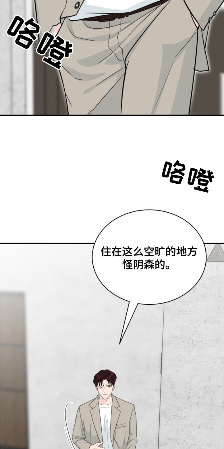 15.jpg