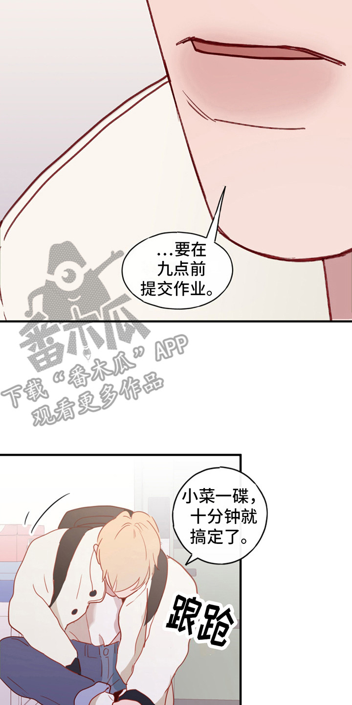 20.jpg