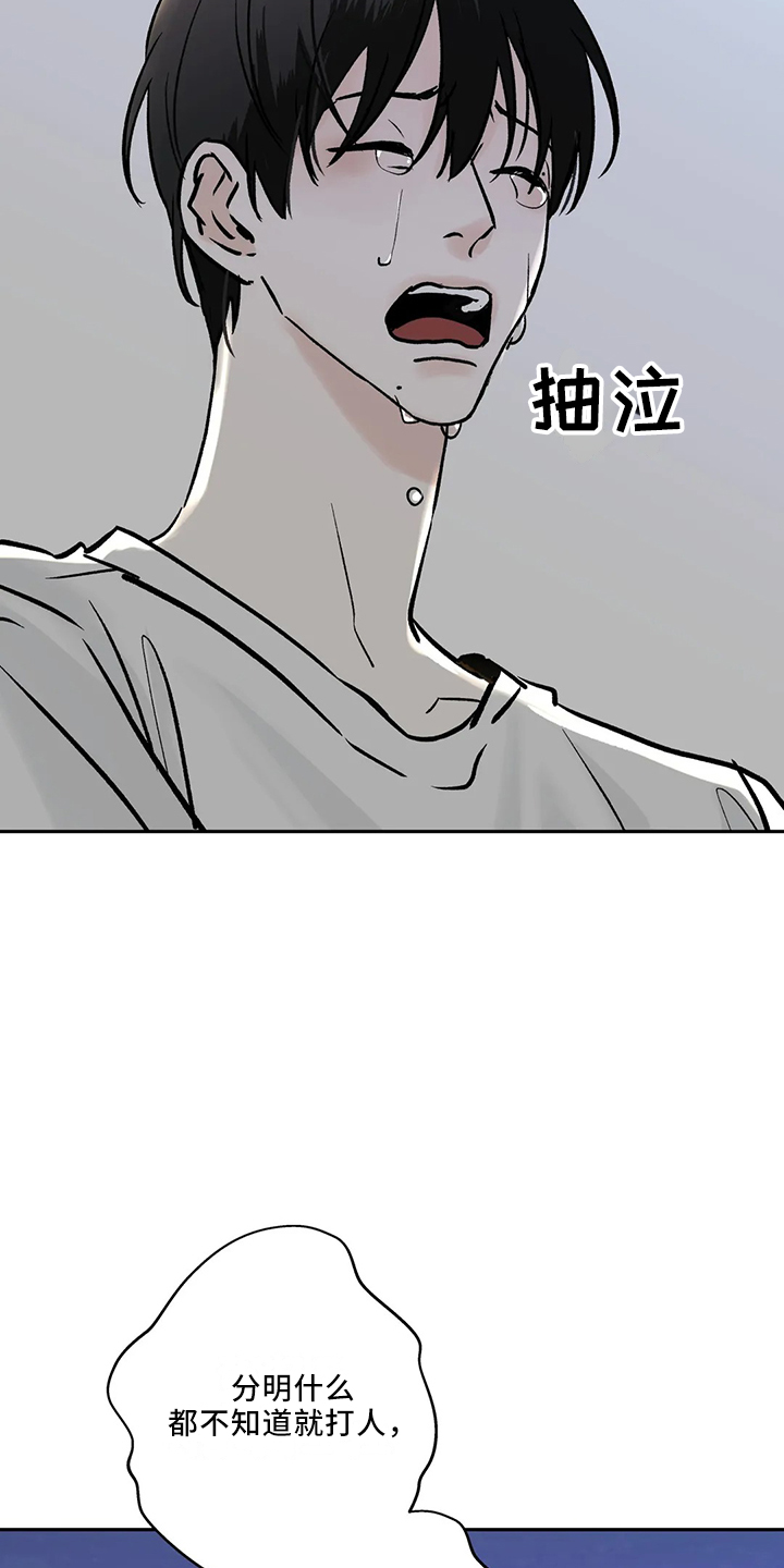 29.jpg