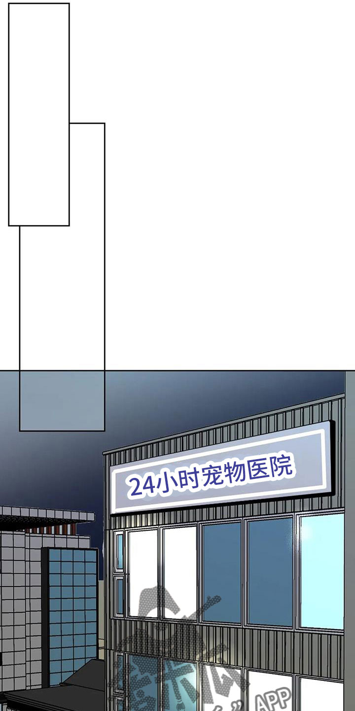 22.jpg