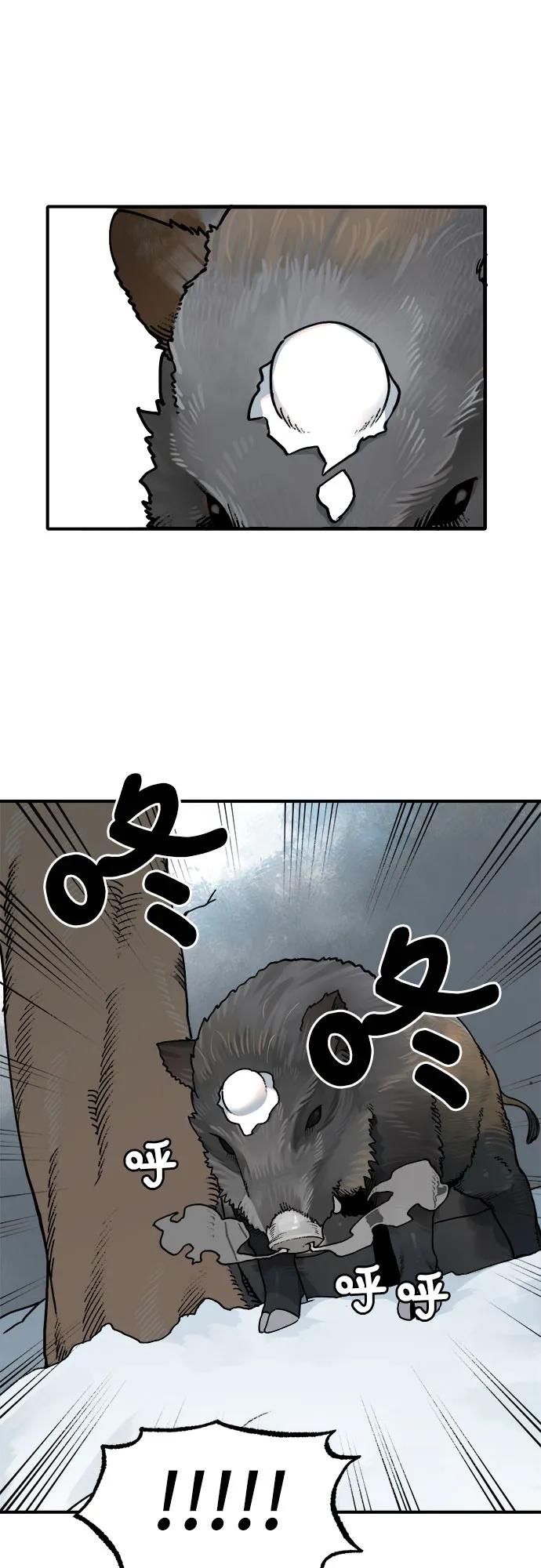 29.jpg