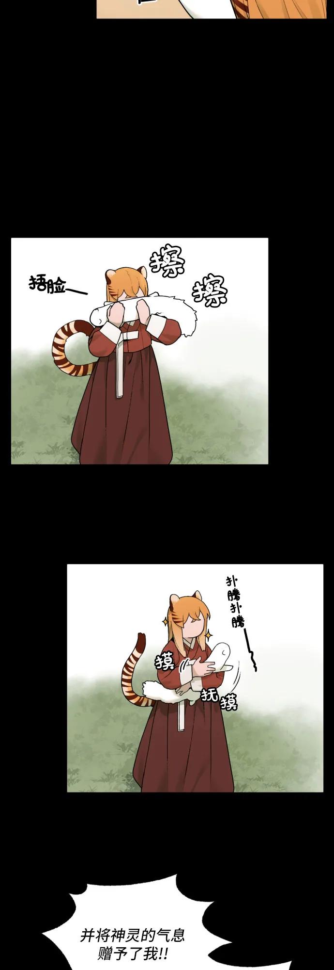 17.jpg