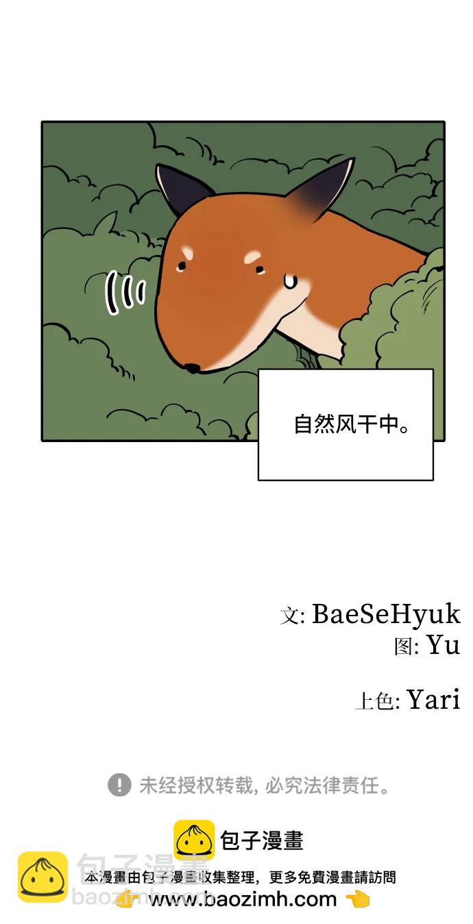 33.jpg