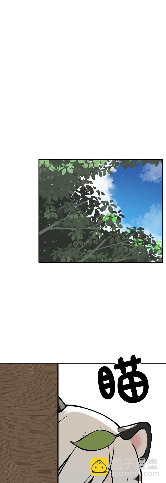 35.jpg