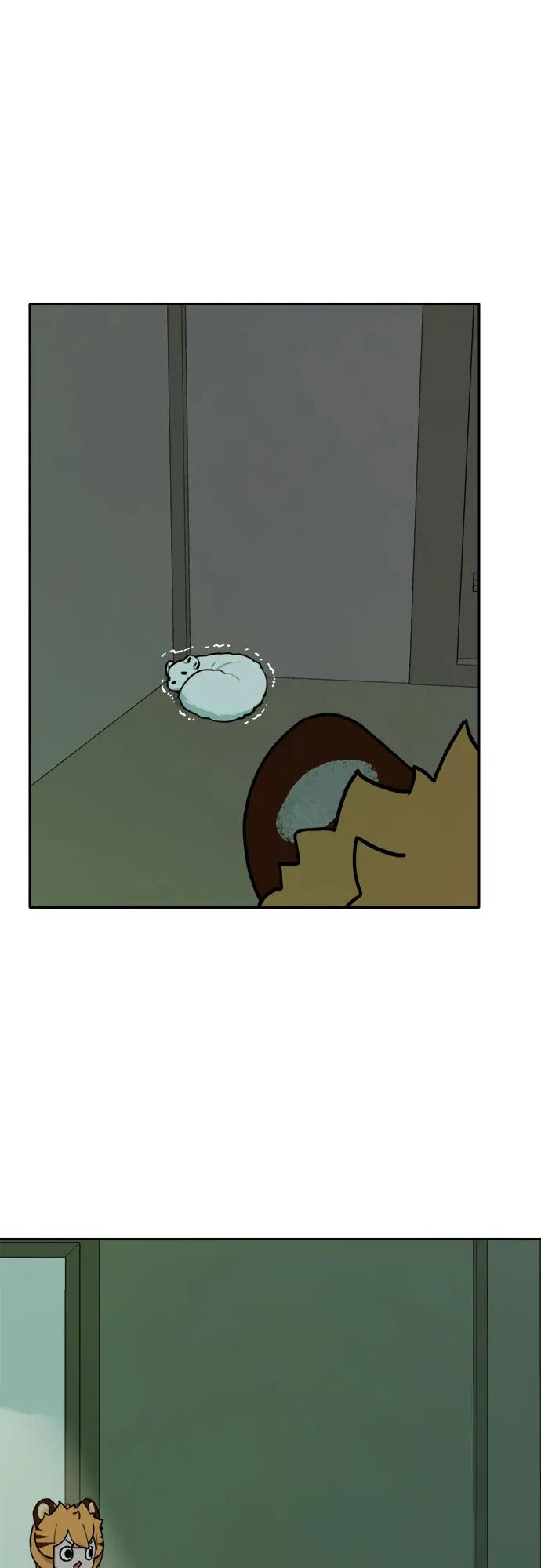 28.jpg