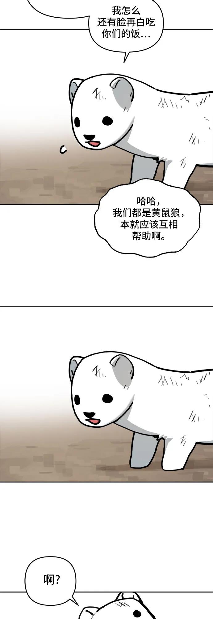 26.jpg