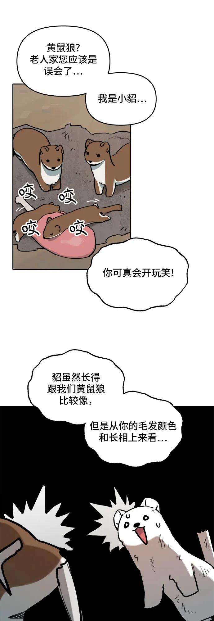28.jpg